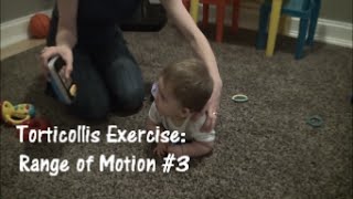 Torticollis Exercise Range of Motion 3 [upl. by Yasui]