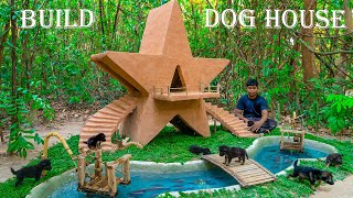 Save Orphaned Puppies Raise and Build a beautiful starshaped dog house [upl. by Zertnom]