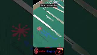 How to cut Ribs anatomy science technology cardiachealth nursing nursingstudent nursingschool [upl. by Nido343]