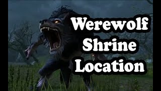 Werewolf Shrine Location in The Rift ✪ Elder Scrolls Online ESO [upl. by Venetis371]