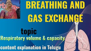 BREATHING and EXCHANGE OF GASES topic RESPIRATORY VOLUMSampCAPACITY [upl. by Ydissahc]