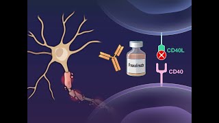 Frexalimab in Multiple Sclerosis  NEJM [upl. by Pedersen477]