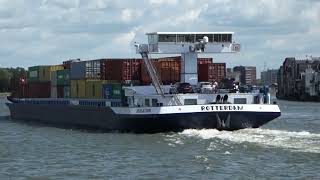 Shipspotting  mcs SCALDIS ex NOVA bunkert  mvs SENSATION  mts CALCIT14  duwboot PATRIJS [upl. by Sparkie]