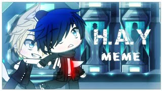 HAY Meme  Gachalife  Twenning  Ft  Ixlas Gamers [upl. by Kimber]