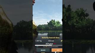 Fishing Planet  Catching Butterfly Peacock Bass [upl. by Wall]