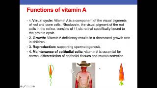 Vitamins and Coenzymes  Hania Nizami [upl. by Civ]