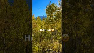 Most GORGEOUS drive in Utah ➡️Alpine Loop Scenic Byway fall [upl. by Auberbach]