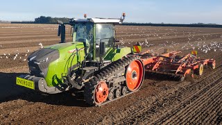 Fendt 943MT amp Vaderstad Topdown 600 Cultivator [upl. by Delanie]