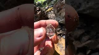 Mining herkimer diamonds [upl. by Alamak]