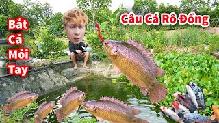 Cáo Ca  Đào Giun Câu Đàn Cá Rô Đồng Cực Chất  Hậu Cáo Câu Cá [upl. by Eneleh251]