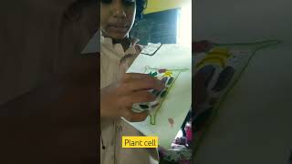 science model plant cell தமிழ்நாடு6th short 🌵🌴🍀 [upl. by Smada694]