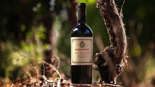 Falasco Wines  Introducing Bressano Malbec [upl. by Togram]