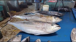 Live Second 06 Okt 24 ‼️🔥🔥 Fresh Yellowfin Tuna Cutting at the fish market Sorong Southwest Papua [upl. by Yro425]