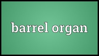 Barrel organ Meaning [upl. by Durwyn]