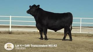 Lot 4 G A R Transcendent N5142 [upl. by Vicki]