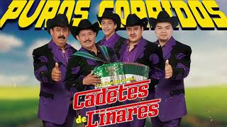 Los Cadetes de Linares  Colección de Éxitos Inolvidables  Puros Corridos Mix [upl. by Eissahc]