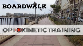 Advanced Vestibular Exercise Boardwalk [upl. by Kingdon]