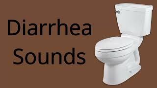 Diarrhea Sounds 1 MINUTE [upl. by Ativel]