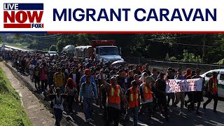 Border crisis 1000 migrants form new caravan in Mexico  LiveNOW from FOX [upl. by Hale]