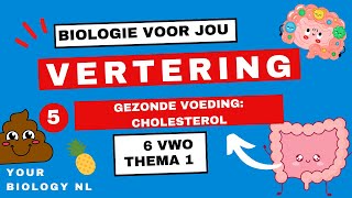 6 vwo  Vertering  5  Gezonde voeding cholesterol [upl. by Noll]