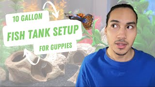 10 Gallon Fish Tank Setup for Guppies [upl. by Claus]