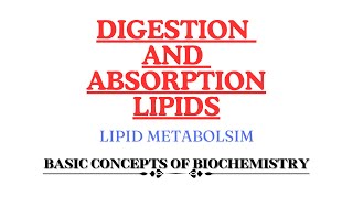 Digestion and Absorption of Lipids  Monoacyl glycerol pathway  Bergstrom theory [upl. by Eiwoh237]