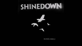 SHINEDOWN Second Chance acoustic [upl. by Enelhtac798]