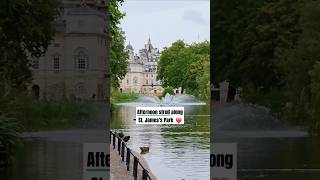 👑🏞 Royal Parks stjamespark Buckinghampalace londoneye swanlake londonwildlife londonwildlife❤️ [upl. by Drew]