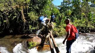 KIHURI FOREST  Aberdare National Park [upl. by Drewett]