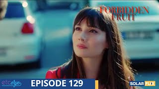 Forbidden Fruit Episode 129  FULL EPISODE  TAGALOG DUB  Turkish Drama [upl. by Joella718]