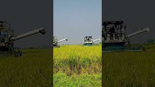 MATHARU4600🚀🚀 newcombine farming vlog jattlife combine shortvideo kheti combineharvester [upl. by Dillon]