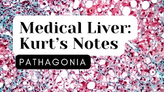 Medical Liver Kurt’s Notes pathagonia [upl. by Nelrah]