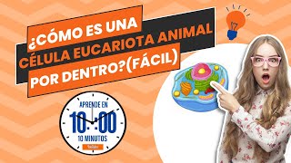 ¿Cómo es una célula eucariota animal por DENTRO FÁCIL [upl. by Solracesoj]