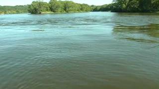 Fishing Wing Dam Walleyes With Tommy Skarlis [upl. by Eislek]