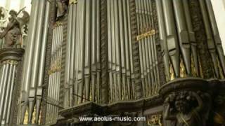 Widor  quotMattheusFinalquot from quotBachs Mementoquot played by Peter Van de Velde Antwerp Cathedral [upl. by Ilam]