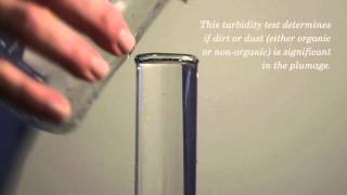 How Is Turbidity Measured For Down Filling [upl. by Stone321]