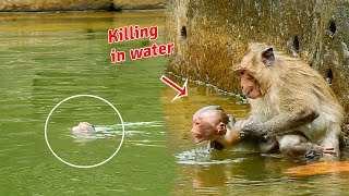 Bad monkey killing orphan baby monkey in the pool [upl. by Ainelec]