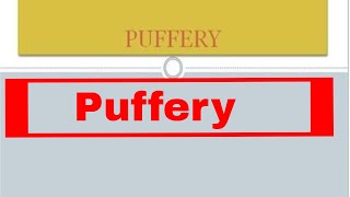 Puffery  What is PUFFERY  PUFFERY meaning in advertising  Explanation in hindi [upl. by Modestia89]