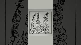 Drawing Foxglove Flowers art meditativedrawing drawing mindfulart flowers [upl. by Auahsoj]