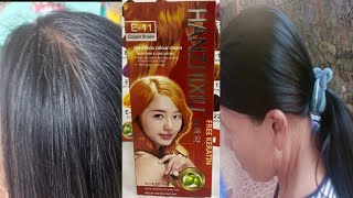 DIY Hanzhixiu Hair Dye Review [upl. by Enileuqkcaj]