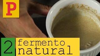 Como fazer fermento natural  Vídeo 2 [upl. by Luise821]