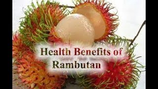 RAMBUTAN  Mura Masustansya at Masarap  Payo ni Doc Willie Ong 573 [upl. by Analed914]