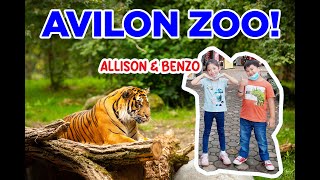 Allison amp Benzo in Avilon Zoo [upl. by Stephenie593]