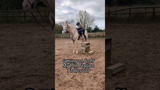 Getting on amp off 17hh Stallion horse horseriding equestrian pony showjumping horselover [upl. by Batha]