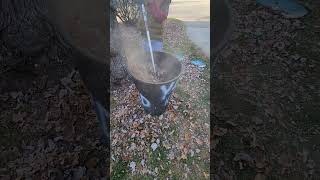 Leaf Wacker Composter String Trimmer Reduce Leaves by 90 lithiumbattery compost gardening [upl. by Llehsam]