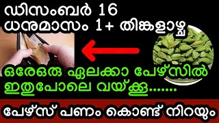 പേഴ്സ് പണം കൊണ്ട് നിറയും നാളെ ധനുമാസം 1 ആം തീയതി പേഴ്സിൽ ഇതുപോലെ ഒരു ഏലക്കാ വയ്ക്കൂ viral [upl. by Milzie583]