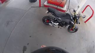 2017 Honda Grom Start Up and Walk Around [upl. by Akenit]