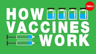 How do vaccines work  Kelwalin Dhanasarnsombut [upl. by Hardden]