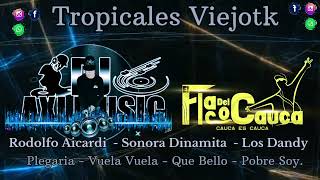 Tropicales Viejotk Rodolfo Aicardi Sonora Dinamita  Los Dandy  Dj Axi Music  Flaco Del Cauca [upl. by Akkire]