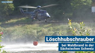 Löschhubschrauber beim Waldbrand in der Sächsischen Schweiz [upl. by Nelaf517]